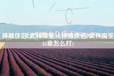 神雕侠侣2武林宝鉴34(神雕侠侣2武林宝鉴35章怎么打)