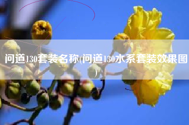 问道130套装名称(问道130水系套装效果图)