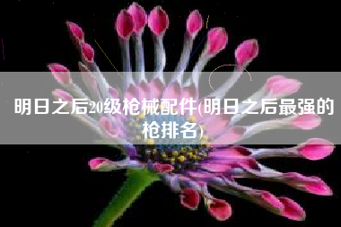 明日之后20级枪械配件(明日之后最强的枪排名)