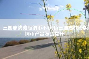 三国志战略版铜币不够用(三国志战略版铜币产量怎么提升)