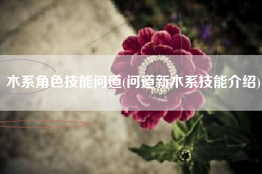 木系角色技能问道(问道新木系技能介绍)