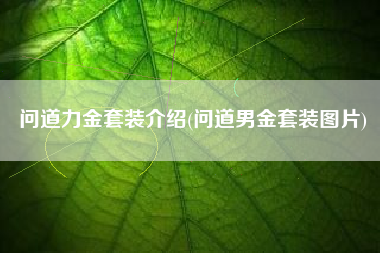 问道力金套装介绍(问道男金套装图片)