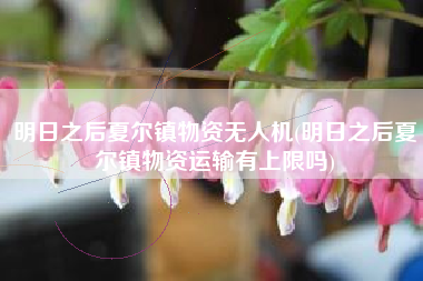 明日之后夏尔镇物资无人机(明日之后夏尔镇物资运输有上限吗)