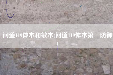 问道119体木和敏木(问道119体木第一防御)
