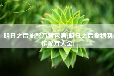 明日之后抽配方背包满(明日之后食物制作配方大全)