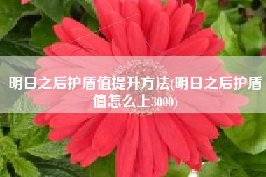 明日之后护盾值提升方法(明日之后护盾值怎么上3000)