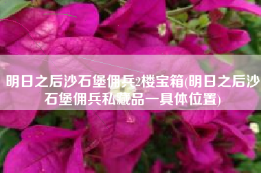 明日之后沙石堡佣兵2楼宝箱(明日之后沙石堡佣兵私藏品一具体位置)