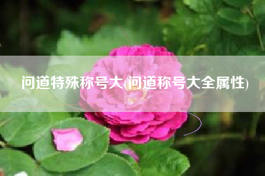 问道特殊称号大(问道称号大全属性)
