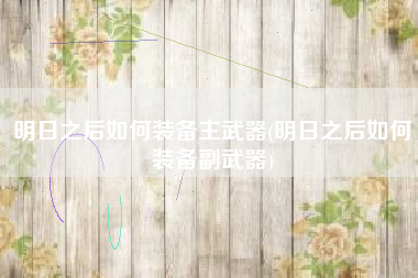 明日之后如何装备主武器(明日之后如何装备副武器)