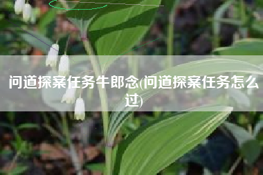 问道探案任务牛郎念(问道探案任务怎么过)