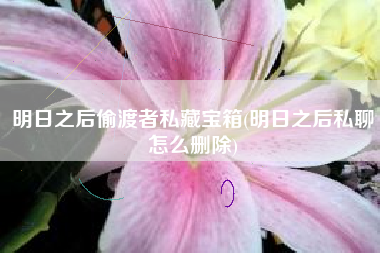 明日之后偷渡者私藏宝箱(明日之后私聊怎么删除)