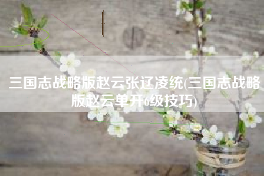 三国志战略版赵云张辽凌统(三国志战略版赵云单开6级技巧)