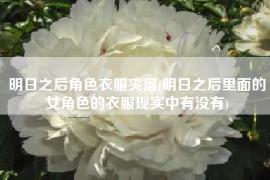 明日之后角色衣服夹层(明日之后里面的女角色的衣服现实中有没有)