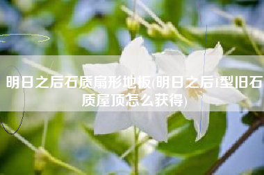 明日之后石质扇形地板(明日之后1型旧石质屋顶怎么获得)