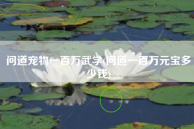 问道宠物一百万武学(问道一百万元宝多少钱)
