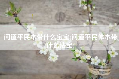 问道平民木带什么宝宝(问道平民体木带什么法宝)