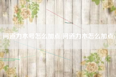 问道力木号怎么加点(问道力木怎么加点)