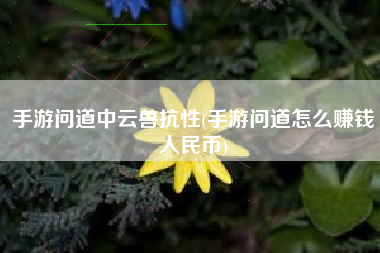 手游问道中云兽抗性(手游问道怎么赚钱人民币)