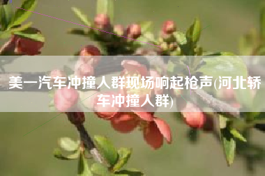 美一汽车冲撞人群现场响起枪声(河北轿车冲撞人群)