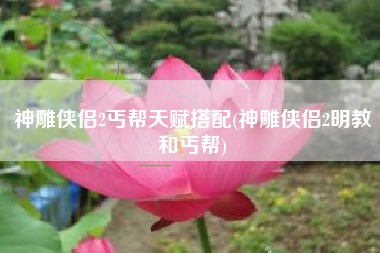 神雕侠侣2丐帮天赋搭配(神雕侠侣2明教和丐帮)