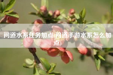 问道水系任务加点(问道手游水系怎么加点)