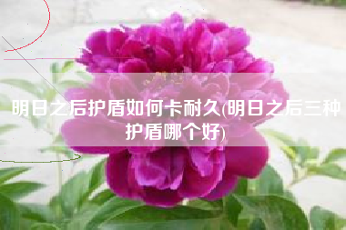 明日之后护盾如何卡耐久(明日之后三种护盾哪个好)
