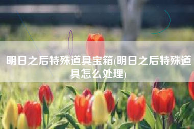 明日之后特殊道具宝箱(明日之后特殊道具怎么处理)