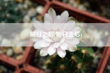 明日之后(明日之后)