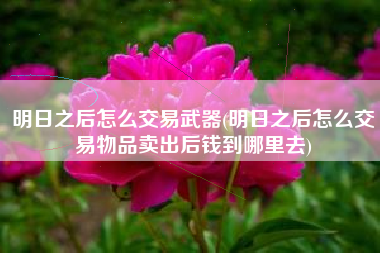 明日之后怎么交易武器(明日之后怎么交易物品卖出后钱到哪里去)
