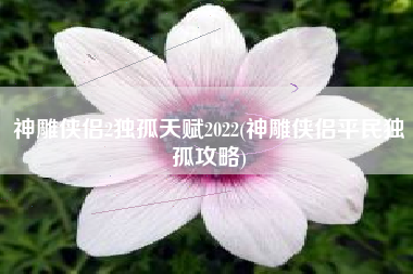 神雕侠侣2独孤天赋2022(神雕侠侣平民独孤攻略)