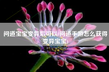 问道宝宝变异后可以(问道手游怎么获得变异宝宝)