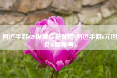 问道手游629探案谁是卧底(问道手游6元回收40级账号)