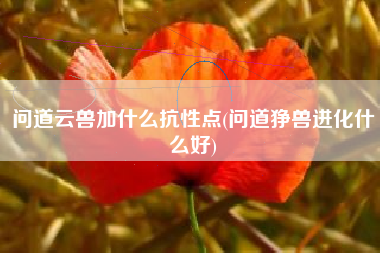 问道云兽加什么抗性点(问道狰兽进化什么好)