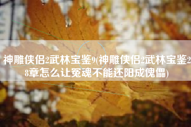 神雕侠侣2武林宝鉴9(神雕侠侣2武林宝鉴28章怎么让冤魂不能还阳成傀儡)