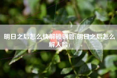 明日之后怎么快解锁钢管(明日之后怎么解人脸)