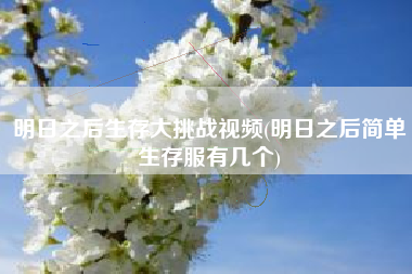 明日之后生存大挑战视频(明日之后简单生存服有几个)