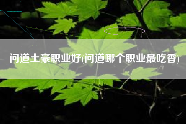 问道土豪职业好(问道哪个职业最吃香)