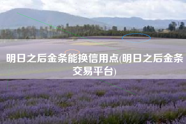 明日之后金条能换信用点(明日之后金条交易平台)