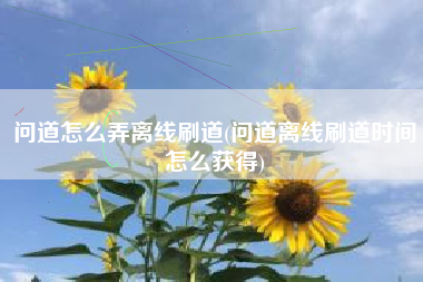 问道怎么弄离线刷道(问道离线刷道时间怎么获得)