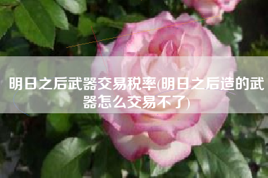 明日之后武器交易税率(明日之后造的武器怎么交易不了)