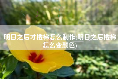 明日之后才楼梯怎么制作(明日之后楼梯怎么变颜色)