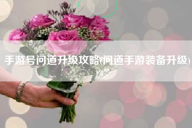 手游号问道升级攻略(问道手游装备升级)