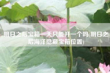 明日之后宝箱一天只能开一个吗(明日之后海洋隐藏宝箱位置)