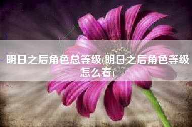 明日之后角色总等级(明日之后角色等级怎么看)