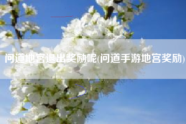 问道地宫退出奖励呢(问道手游地宫奖励)