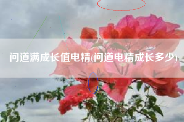 问道满成长值电精(问道电精成长多少)