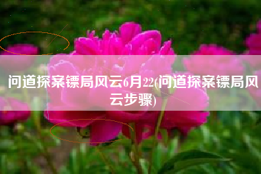 问道探案镖局风云6月22(问道探案镖局风云步骤)