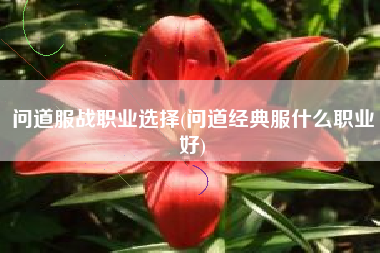 问道服战职业选择(问道经典服什么职业好)