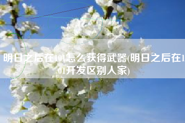 明日之后在101怎么获得武器(明日之后在101开发区别人家)