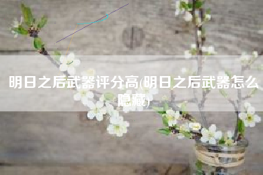 明日之后武器评分高(明日之后武器怎么隐藏)